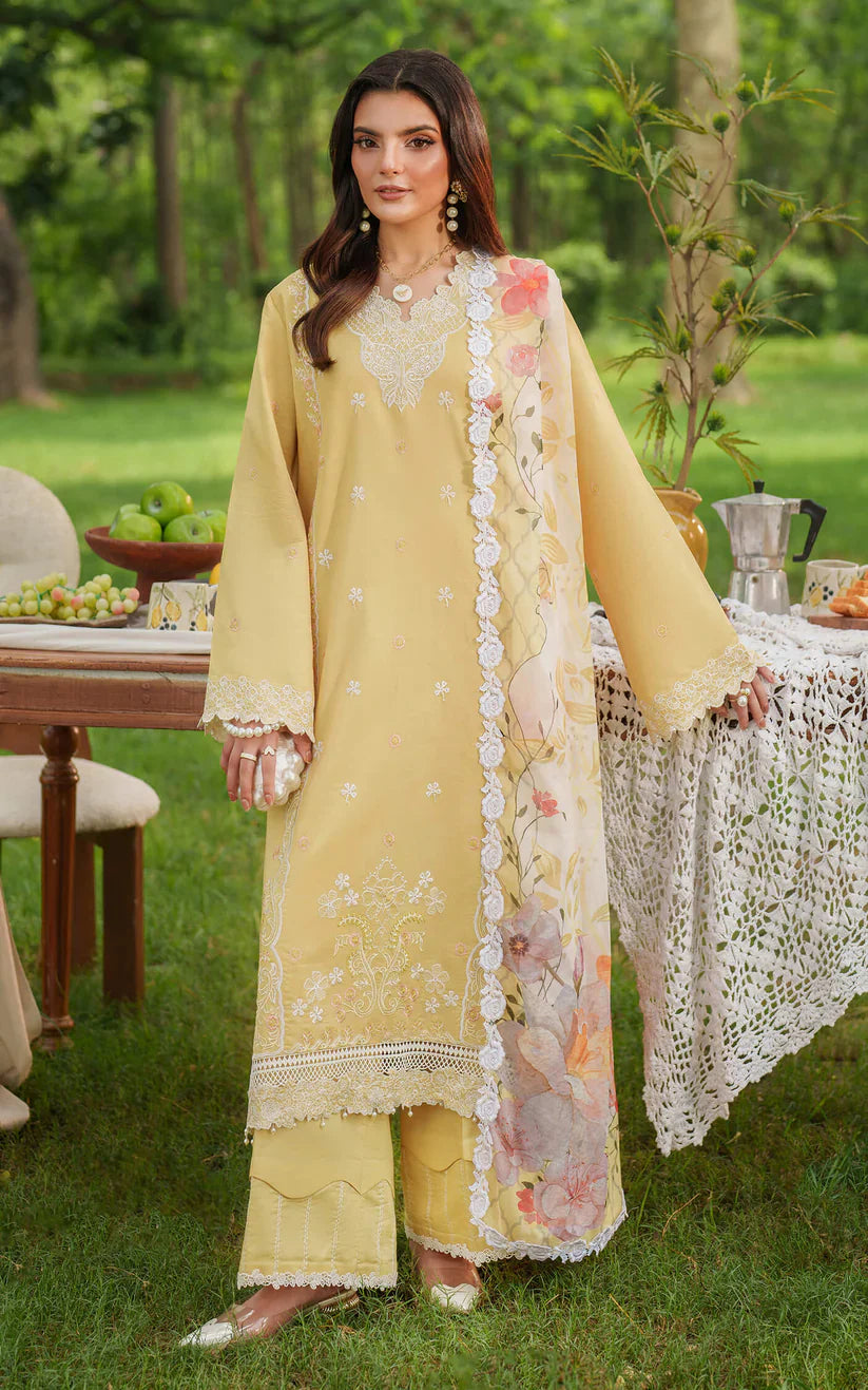 Eden by Asifa Nabeel Embroidered Cambric Suits Unstitched 3 Piece AN25ED D-10 Gardenia Grace - Winter Collection