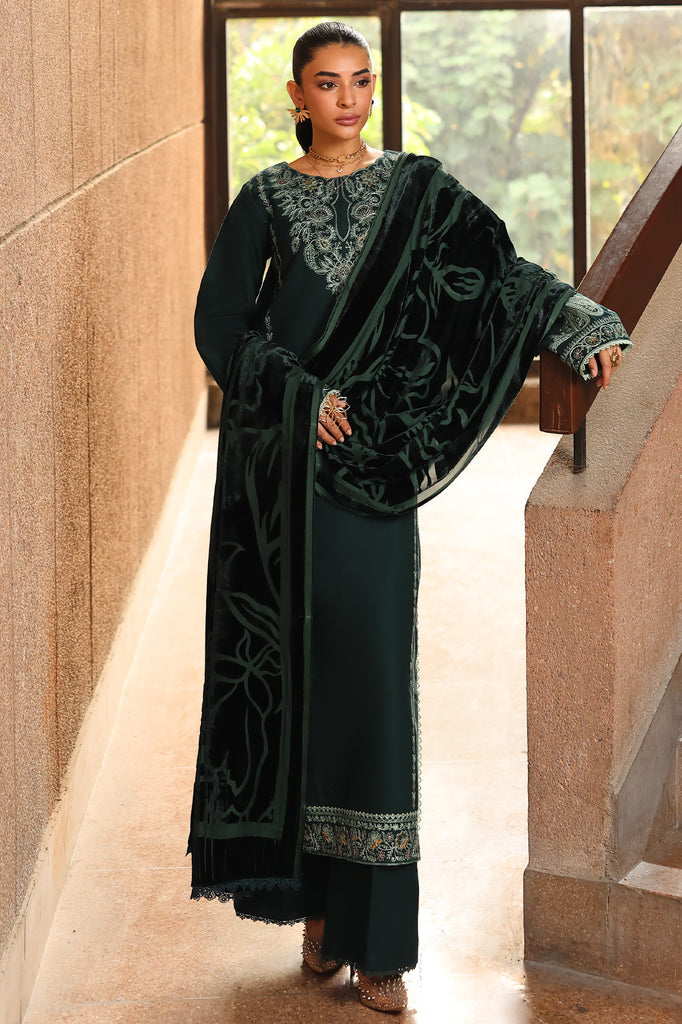 rajbari winter shawl