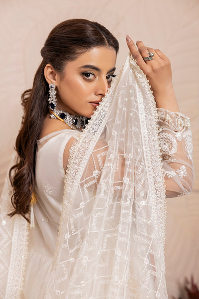 House of Nawab | Luxury Formals | TAROOB - Hoorain Designer Wear - Pakistani Ladies Branded Stitched Clothes in United Kingdom, United states, CA and Australia