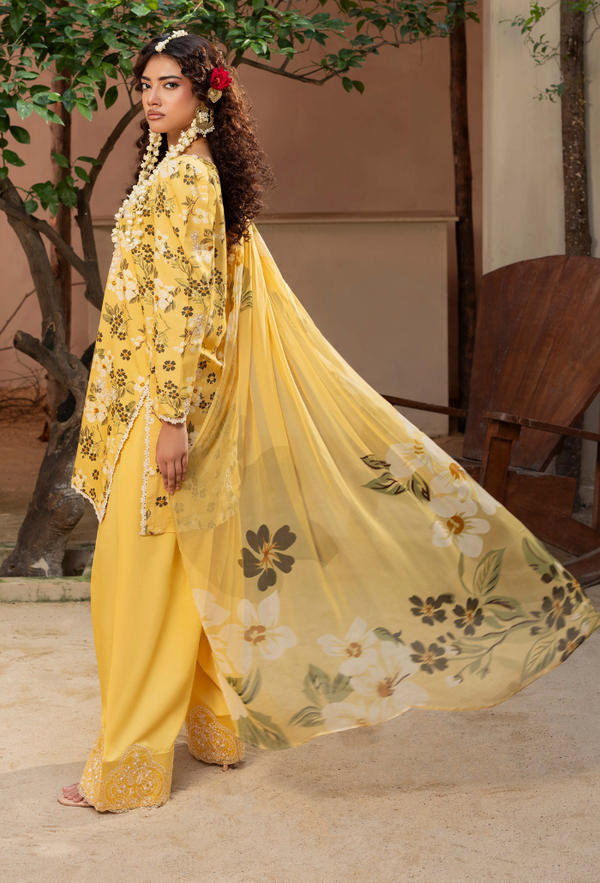 Humdum | Zaiba 25 | D03