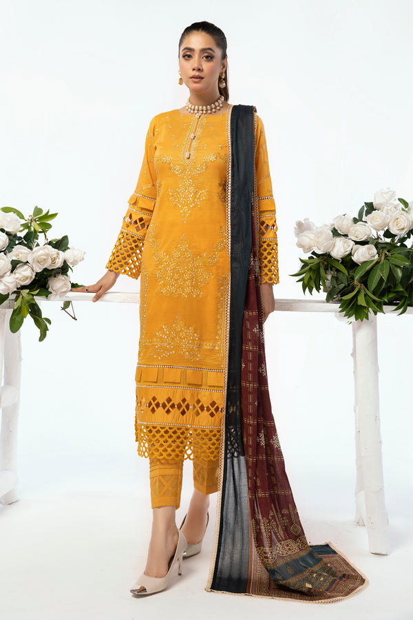 House of Nawab | Lawn Collection 24 | AEMA