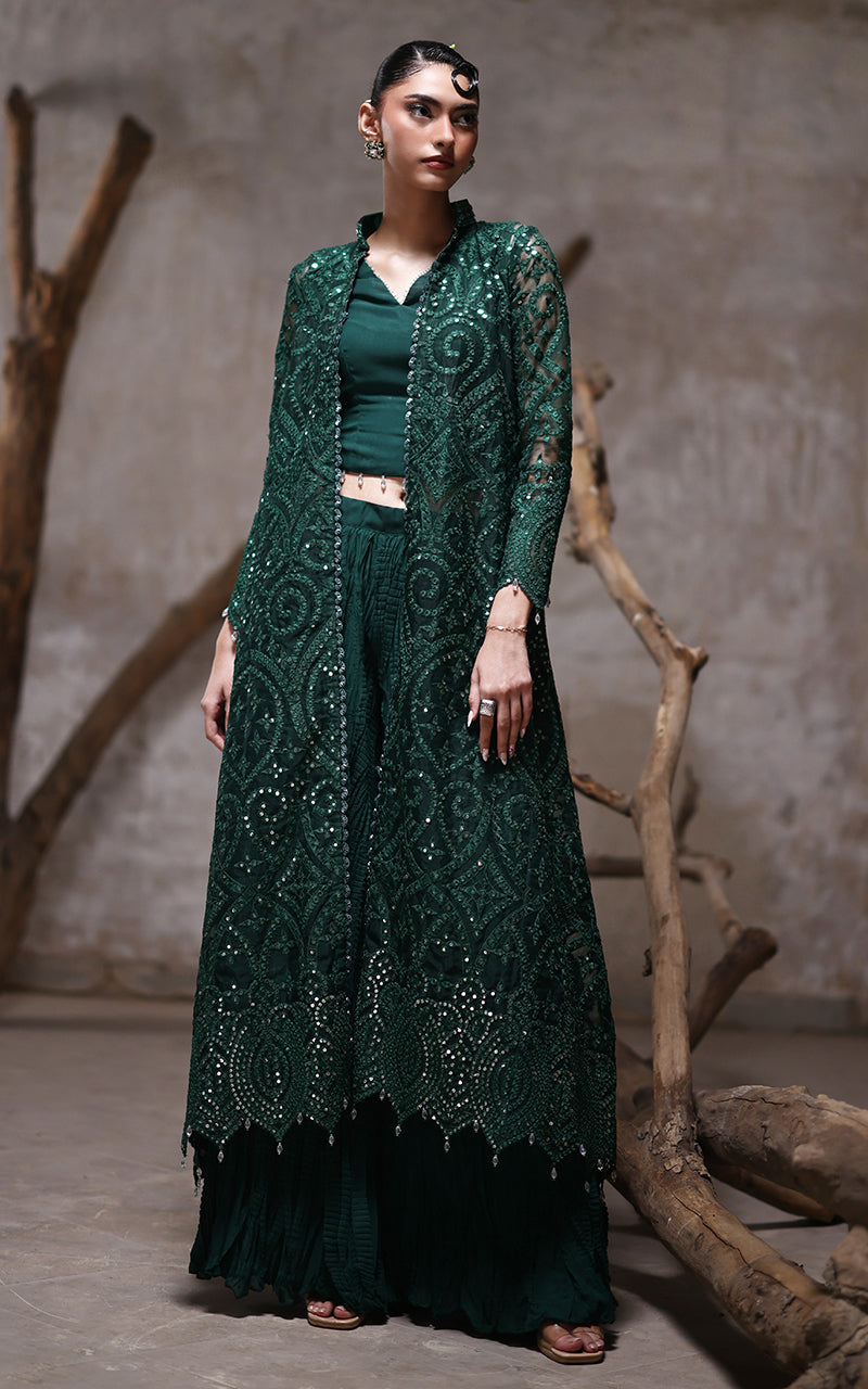 crushed organza dress Embroidered Crushed Frock Dress