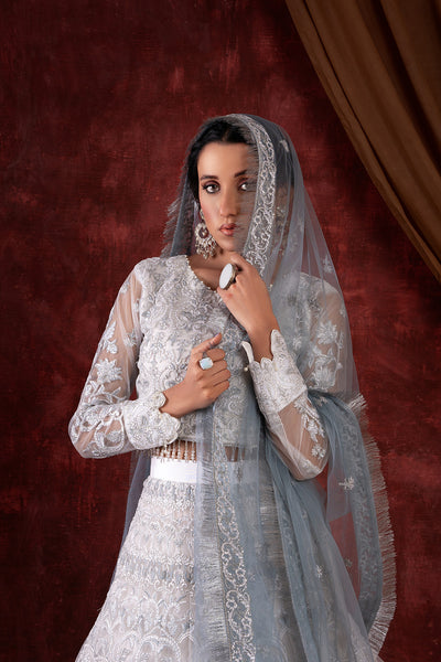 House of Nawab | Luxury Formals | GULCIN - Hoorain Designer Wear - Pakistani Ladies Branded Stitched Clothes in United Kingdom, United states, CA and Australia