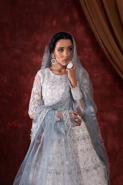 House of Nawab | Luxury Formals | GULCIN - Hoorain Designer Wear - Pakistani Ladies Branded Stitched Clothes in United Kingdom, United states, CA and Australia