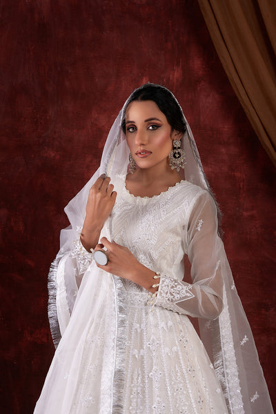 House of Nawab | Luxury Formals | AZKA - Hoorain Designer Wear - Pakistani Ladies Branded Stitched Clothes in United Kingdom, United states, CA and Australia