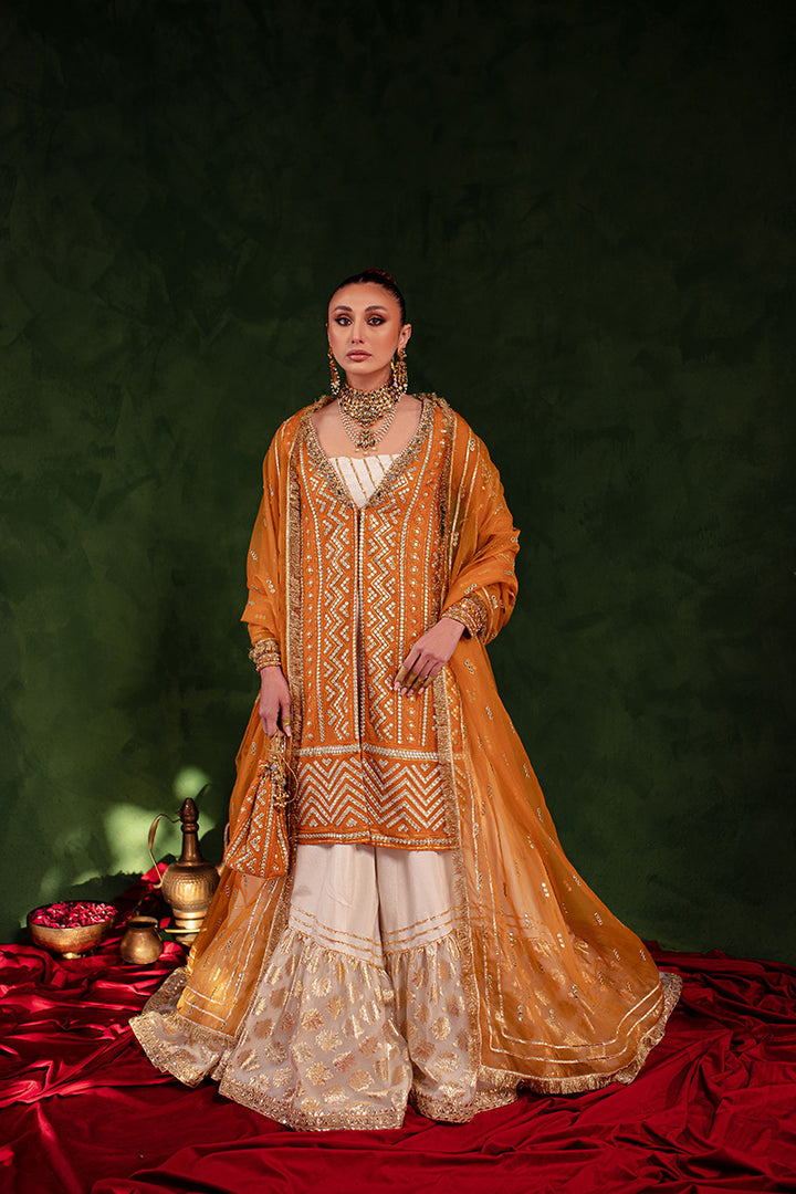 sitara dress design Sitara by Silver 3pc Chiffon Handworked Dress with Brocade Sharara S The Zaibai