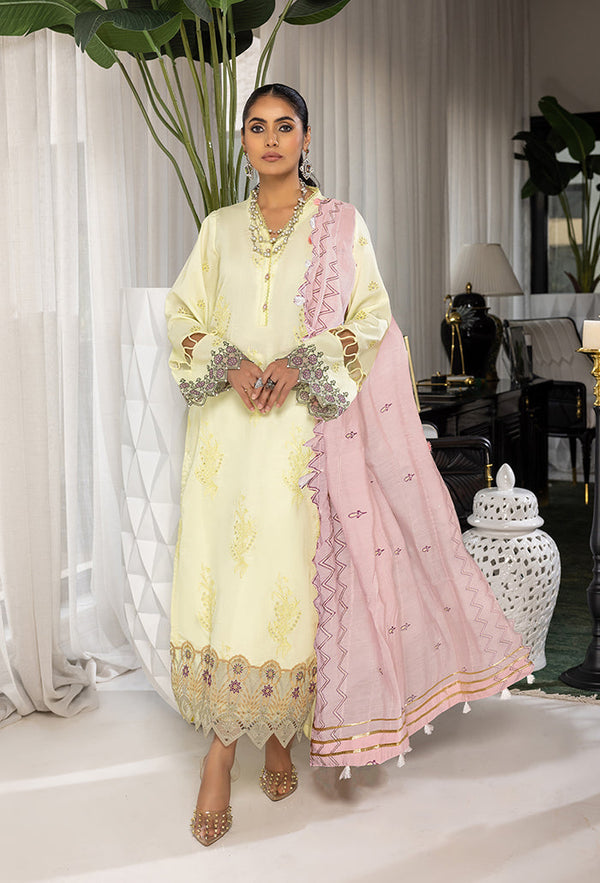 Humdum | Charlotte Chikankari  Lawn | D06 - Hoorain Designer Wear - Pakistani Ladies Branded Stitched Clothes in United Kingdom, United states, CA and Australia