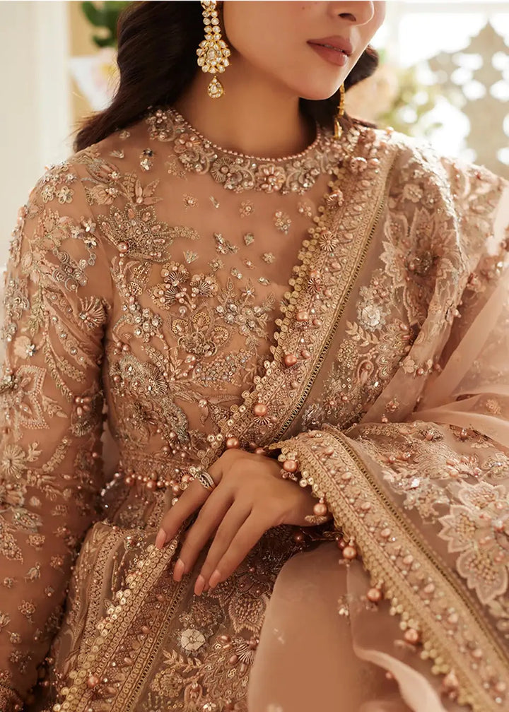 Elan | Wedding Festive 23 | Elan - Ariana - Pakistani Clothes for women, in United Kingdom and United States