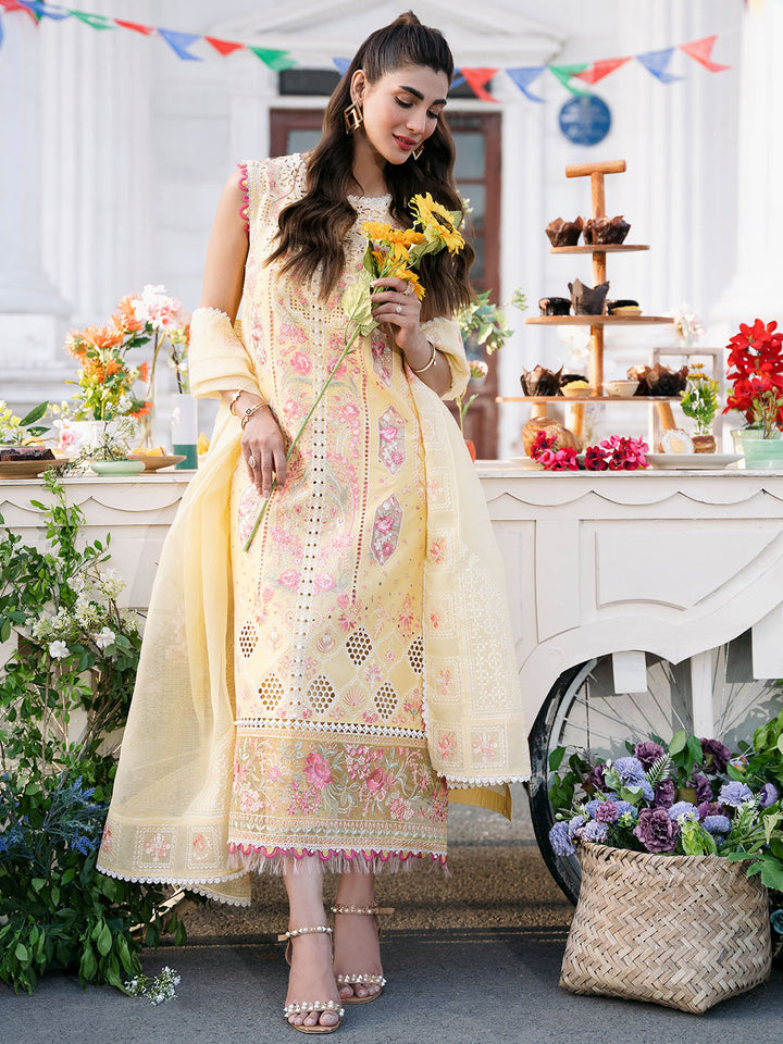 Bin Ilyas | Clara Embroidered Lawn 24 | 212 - B - Hoorain Designer Wear - Pakistani Designer Clothes for women, in United Kingdom, United states, CA and Australia