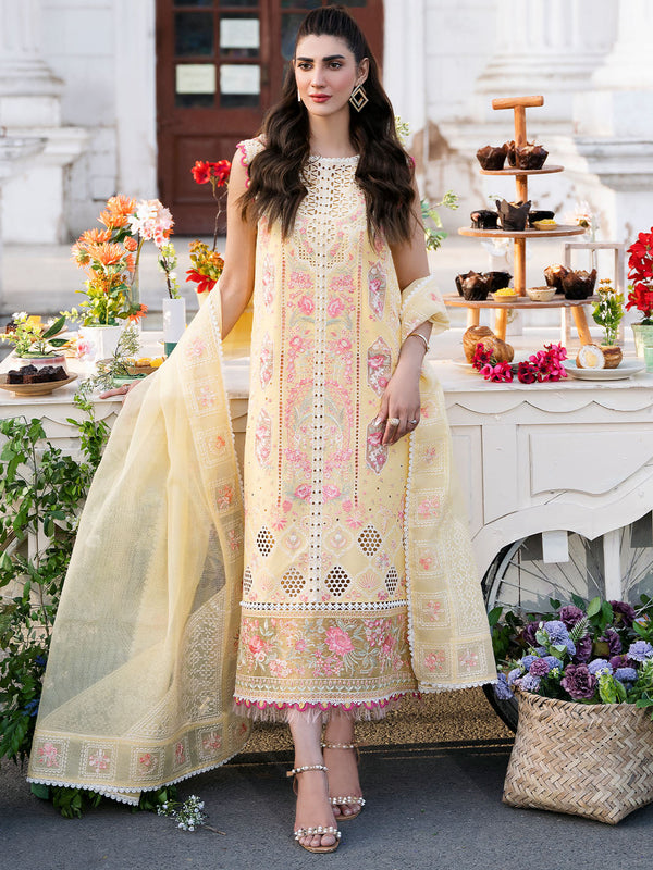 Bin Ilyas | Clara Embroidered Lawn 24 | 212 - B - Hoorain Designer Wear - Pakistani Designer Clothes for women, in United Kingdom, United states, CA and Australia