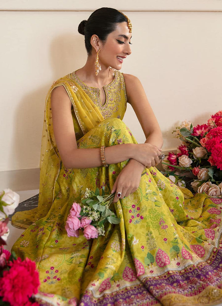 Farah Talib Aziz | Mayna Festive Luxe | ELIKA LIME - Hoorain Designer Wear - Pakistani Ladies Branded Stitched Clothes in United Kingdom, United states, CA and Australia
