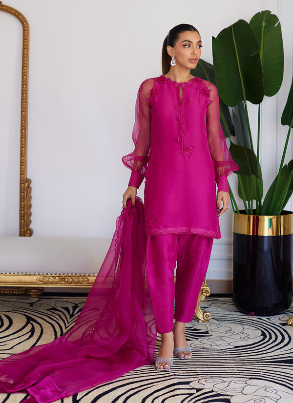 Farah Talib Aziz | Luna Eid Collection 24 | ELIO HOT PINK - Hoorain Designer Wear - Pakistani Ladies Branded Stitched Clothes in United Kingdom, United states, CA and Australia
