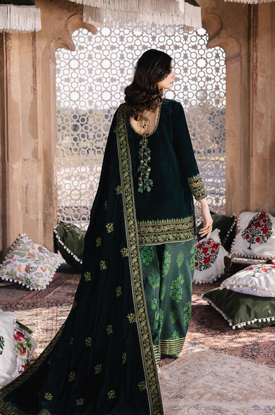 Zarizaa | Mukhtar e Khaas | Najaf