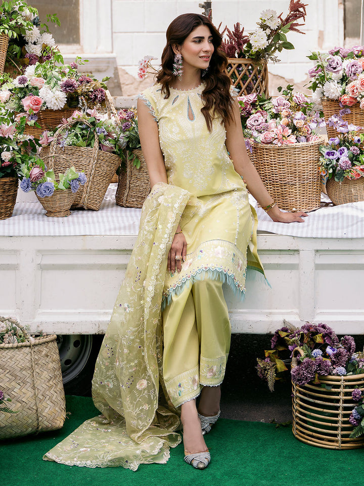 Bin Ilyas | Clara Embroidered Lawn 24 | 214 - B - Hoorain Designer Wear - Pakistani Designer Clothes for women, in United Kingdom, United states, CA and Australia