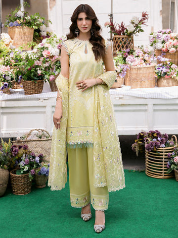 Bin Ilyas | Clara Embroidered Lawn 24 | 214 - B - Pakistani Clothes for women, in United Kingdom and United States