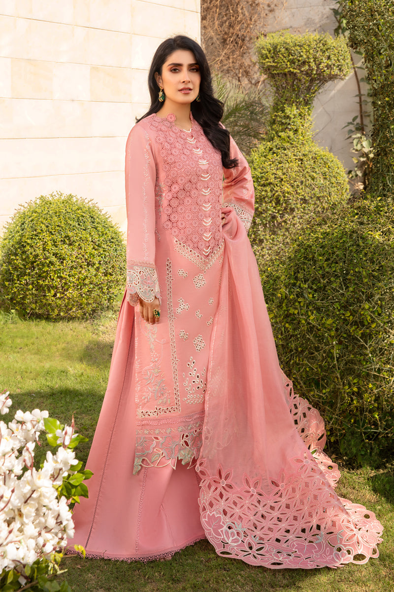 Rangrasiya | Premium Collection 24 | PARISA - Pakistani Clothes for women, in United Kingdom and United States