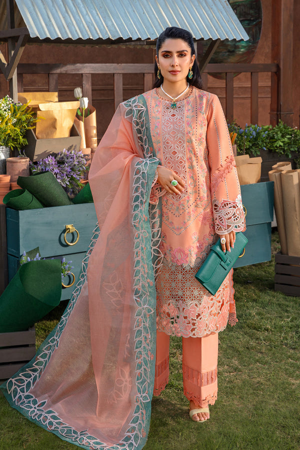 Rangrasiya | Premium Collection 24 | RANIA - Hoorain Designer Wear - Pakistani Ladies Branded Stitched Clothes in United Kingdom, United states, CA and Australia