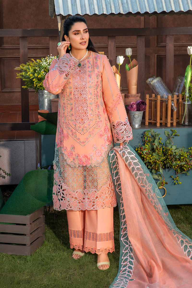 Rangrasiya | Premium Collection 24 | RANIA - Pakistani Clothes for women, in United Kingdom and United States