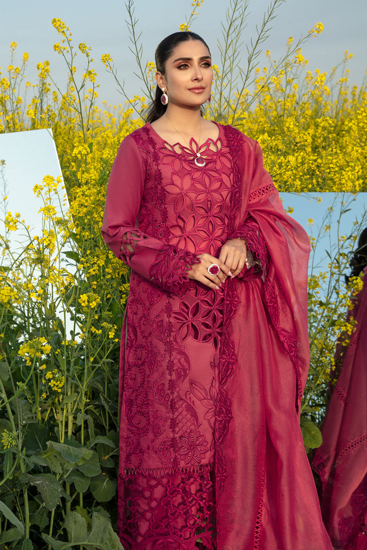 Rangrasiya | Premium Collection 24 | MAYA - Pakistani Clothes for women, in United Kingdom and United States