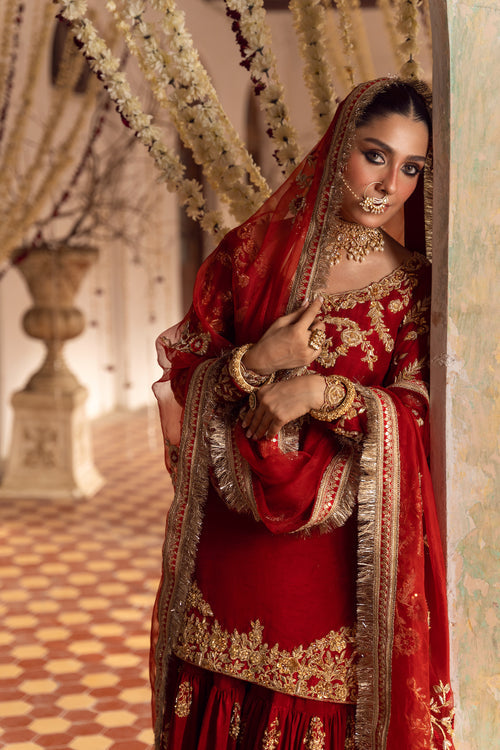 Maya | Wedding Formal Raabta | AFREEN - Pakistani Clothes for women, in United Kingdom and United States