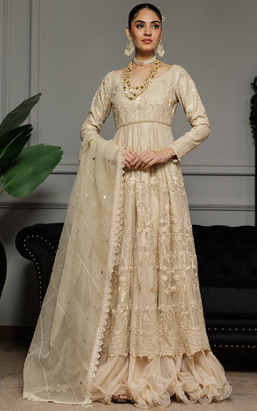 Threads and Motifs | Formal Dresses 25 | Net Embroidered Maxi