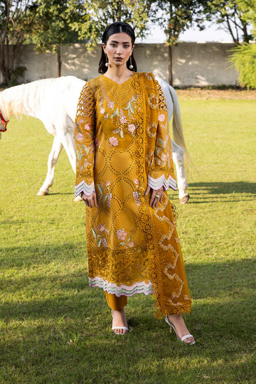 Raeesa Premium | Senorita Formals | SR-001