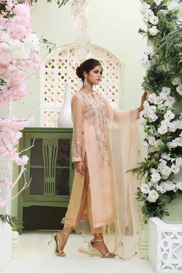 Wahajmkhan | Sitara Formals | NUDE PEACH ORGANZA OUTFIT - Pakistani Clothes for women, in United Kingdom and United States