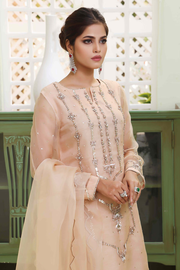 Wahajmkhan | Sitara Formals | NUDE PEACH ORGANZA OUTFIT - Pakistani Clothes for women, in United Kingdom and United States