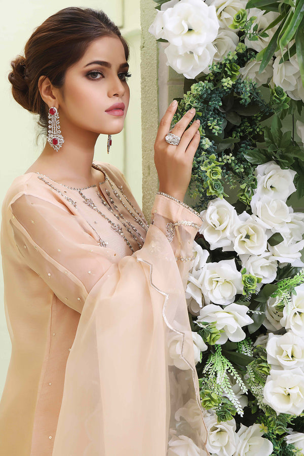 Wahajmkhan | Sitara Formals | NUDE PEACH ORGANZA OUTFIT - Pakistani Clothes for women, in United Kingdom and United States