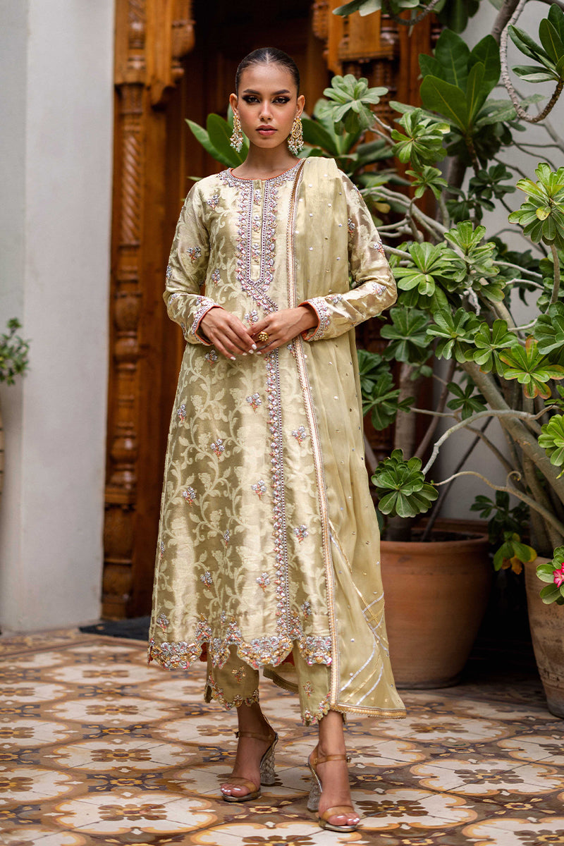 Sana Abbas | Wedding Formals | Mesaam