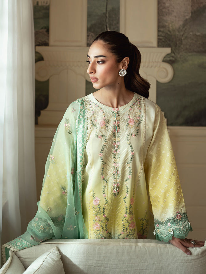 Faiza Faisal | Celine Eid Collection 24 | NOOR - Pakistani Clothes for women, in United Kingdom and United States