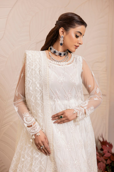 House of Nawab | Luxury Formals | TAROOB - Pakistani Clothes for women, in United Kingdom and United States