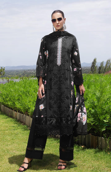 Al Zohaib | Sunshine Premium Edition 25 | SBE-25-01 I