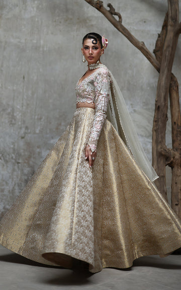 Threads and Motifs | Formal Dresses 25 | Organza Embroidered Blouse With Lehenga