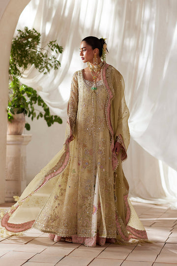 Suffuse | Freeshia Wedding Formals | Silvia