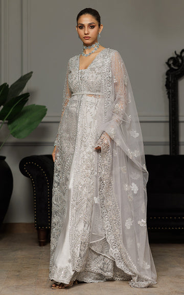 Threads and Motifs | Formal Dresses 25 | Net Embroidered Dress With Skirt And Dupatta