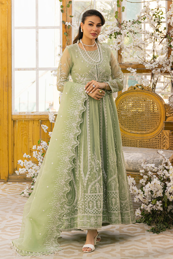 Naqshi| Wedding Formals| AYLA