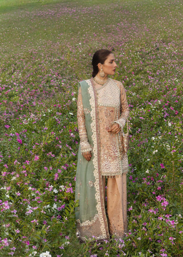 Hussain Rehar | the Doll House Festive Edit | Gohar - Ara