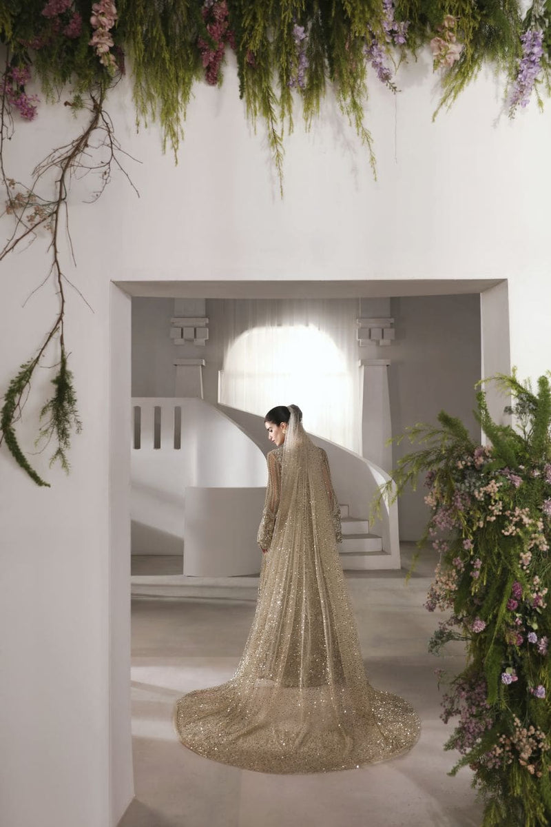 Caia | Party Wears 25 | STARLIT