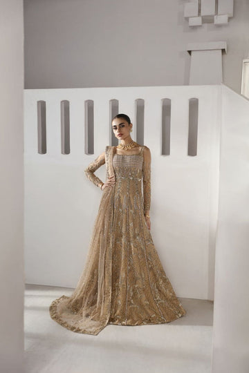 Caia | Party Wears 25 | Emira