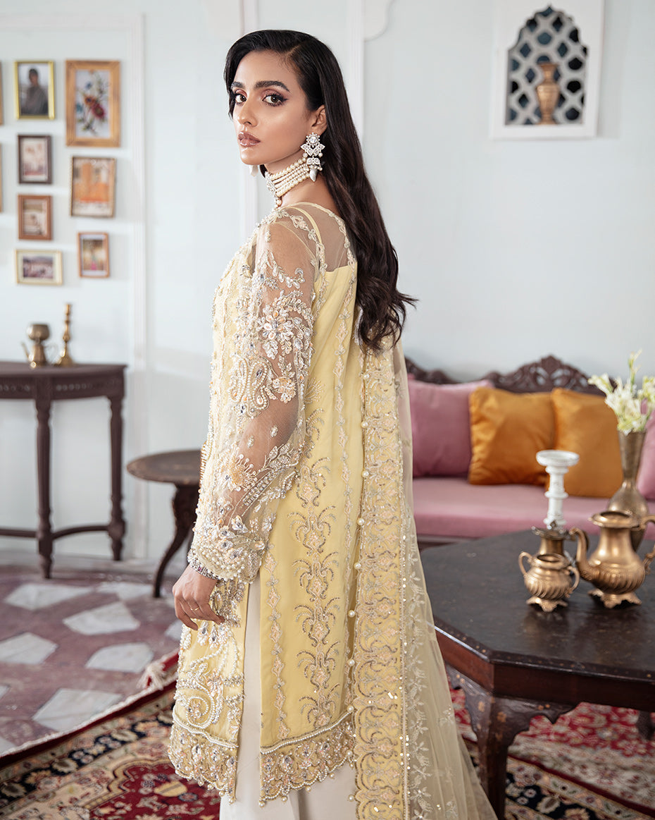 Gulaal | Wedding Formals | MAHJABEEN EMBROIDERED NET 3-PIECE SUIT WS-17