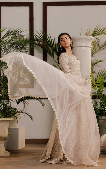 Threads and Motifs | Formal Dresses 25 | Net Embroidered Maxi