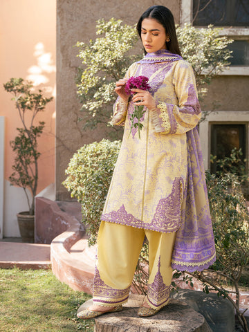 Bin Ilyas | Hazel Printed Lawn 25 | 2074 - A