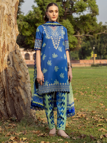 Bin Ilyas | Naqsh Naaz Luxury Lawn 25 | 2088 - B