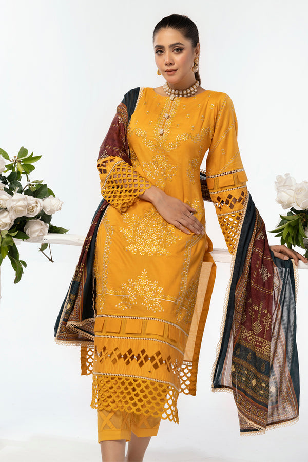 House of Nawab | Lawn Collection 24 | AEMA - Pakistani Clothes for women, in United Kingdom and United States