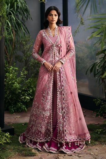 Afrozeh | La Fuschia 25 | Seraira