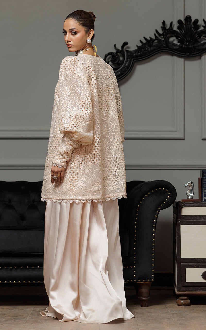 Threads and Motifs | Formal Dresses 25 | Organza Embroidered Jacket With Embroidered Tube And Skirt