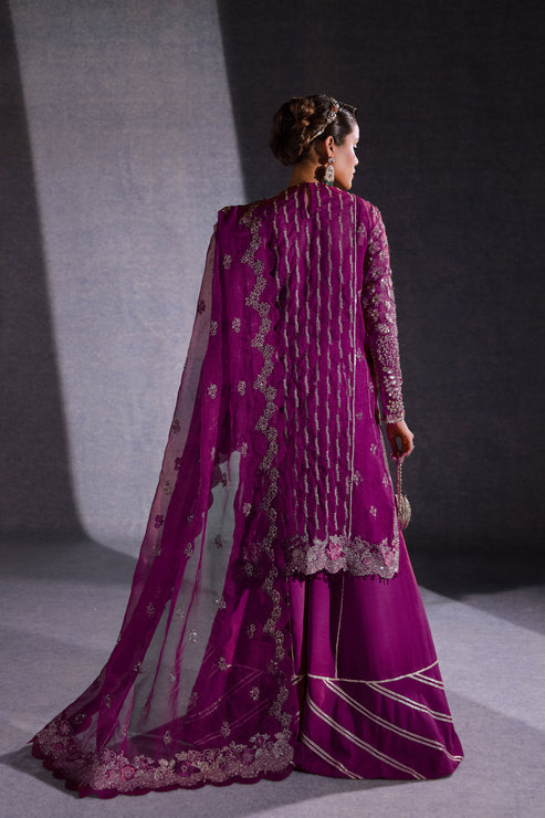 Ezra | Ermina Collection 25 | KOYAL