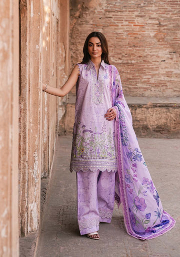 New Collections and Exclusive Offers