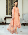 House of Nawab | Lawn Collection 24 | DANEEN - Pakistani Clothes for women, in United Kingdom and United States